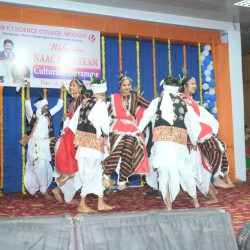 DSC_9011 (Medium)
