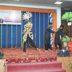 DSC_9056 (Medium)