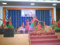 DSC_8991-Medium