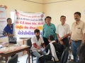 WhatsApp-Image-2019-08-20-at-15.38.21
