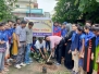 Tree Plantation